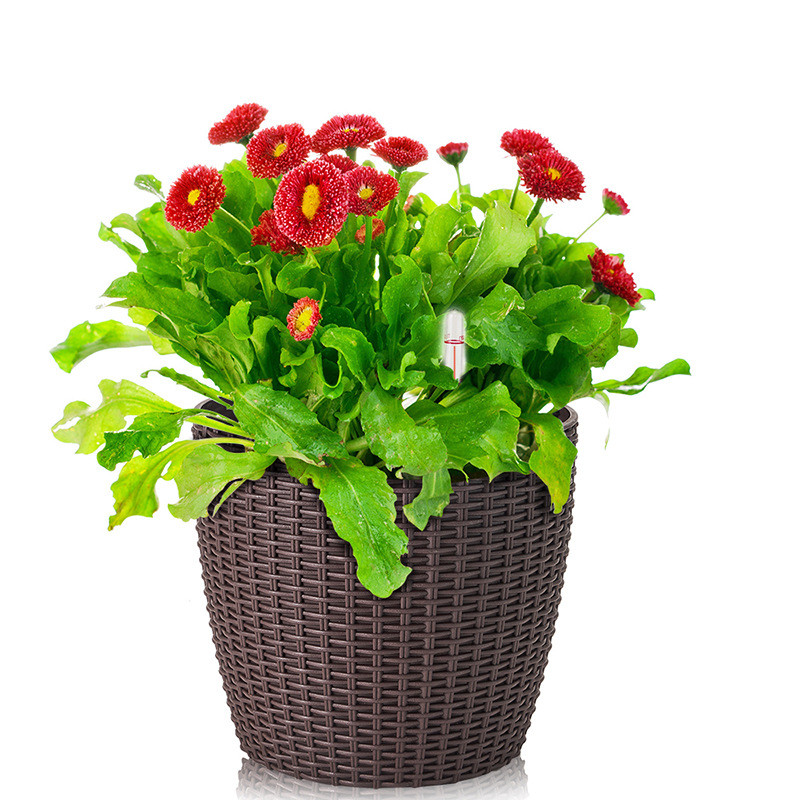 北欧ins风室内仿创意藤编花盆批发桌面式加厚塑料懒人多肉花盆