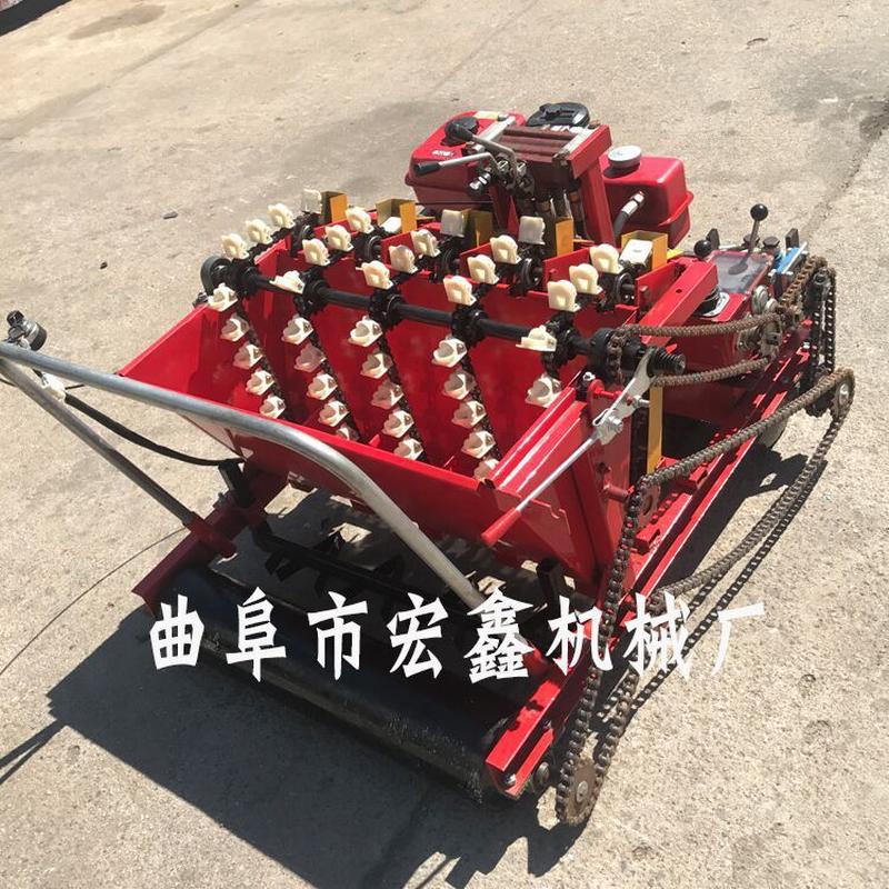 热销新型种植播种机热卖手推式大蒜播种机多功能农用大蒜种大蒜机
