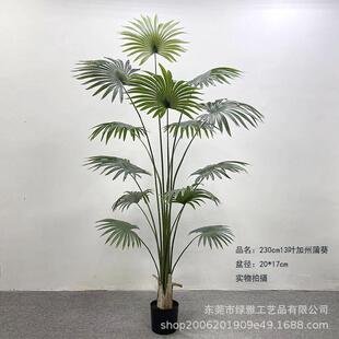 热带仿真植物加州蒲葵盆栽葵落地圆叶扇室内假树仿真绿植现货