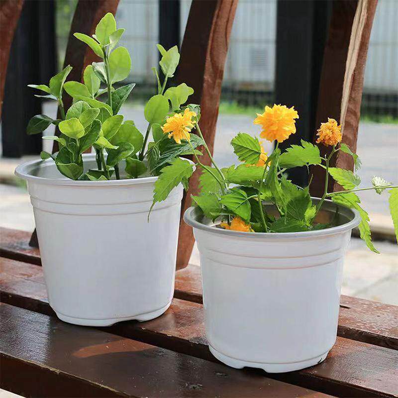 双色盆简约塑料花盆育苗种植盆栽一次性加厚更透气花苗圃基地专用