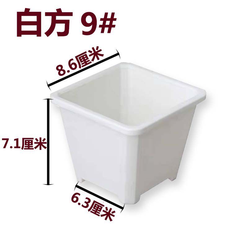 景天盆育苗盆白方多肉黑方基地花盆加厚电商黑色白色方盆批发