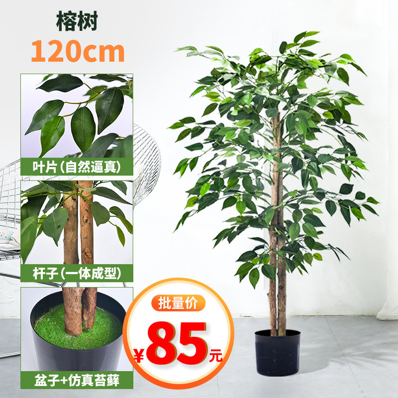 仿真榕树小型盆景绕藤榕树弯客厅仿真植物室内叶榕榕树