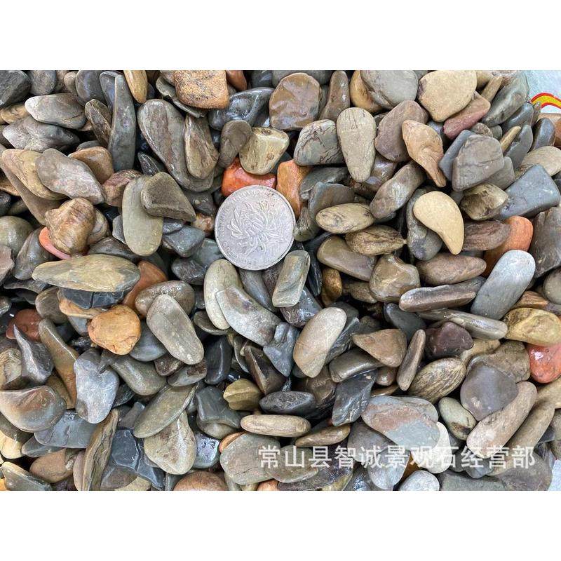 精品天然溪流造景石鱼缸造景底砂砂大量批发,鲜花速递/花卉仿真/绿植园艺,其它园艺用品,淘宝优惠券,粉丝福利购,淘宝优惠卷