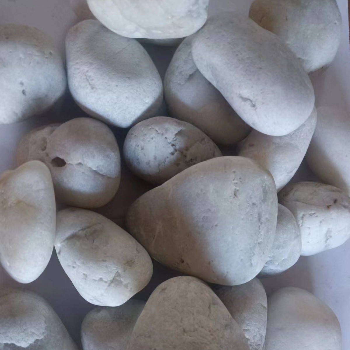 白色鹅卵石大号白色造景铺路鹅卵石厂家园林美化装饰白石子水池