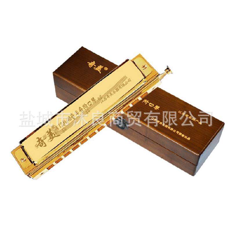 热销厂家批发 奇美牌12孔48音学生钛半音阶口琴镀成人入门级演奏,乐器/吉他/钢琴/配件,萨克斯风,淘宝优惠券,粉丝福利购,淘宝优惠卷