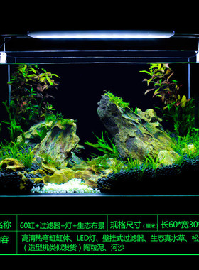 真水草鱼缸水族箱小型客厅办公室桌面家用生态草缸装饰布造景套餐