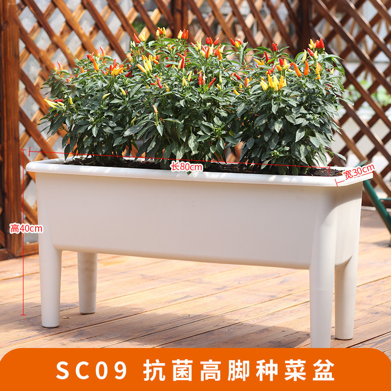 专用箱种菜塑料花盆家用阳台种菜盆种植箱爬藤架花架支撑杆葡萄架