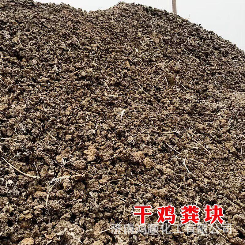 厂家直供生物发酵发酵鸡粪肥有机肥发酵营养土纯鸡粪菌鸡粪