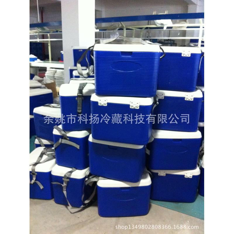 热销20升22l箱冷链运输保温箱冷藏箱冰激淋外卖送餐箱pu冰包