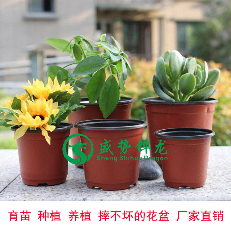花盆双色优质pp材质摔不坏塑料种植育苗花盆厂家直销