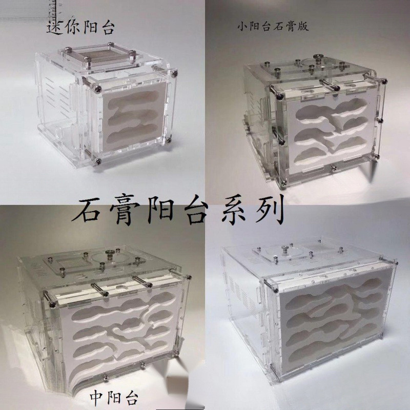 石膏蚁巢巢生亚克力城堡试管宠物生日特硬蚁巢宠物混凝土散装长宽