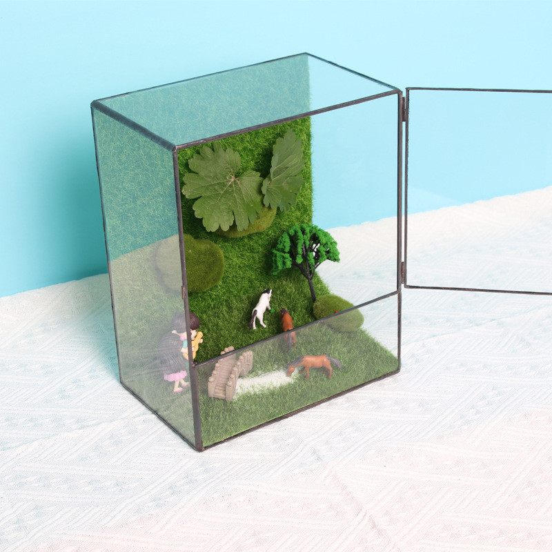 侧开门微景观玻璃花房矩形苔藓墙玻璃缸植物微缩森林造景生态瓶