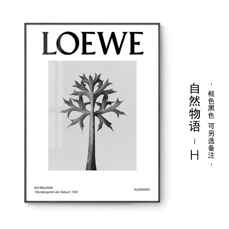 黑白英文字母装饰画卧室餐厅植物花卉艺术床头画桌面现代简约摆画图片