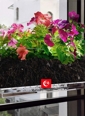 tx透明亚克力多肉植物窗台花盆高级感矩形厨房盆花香草室内瓶