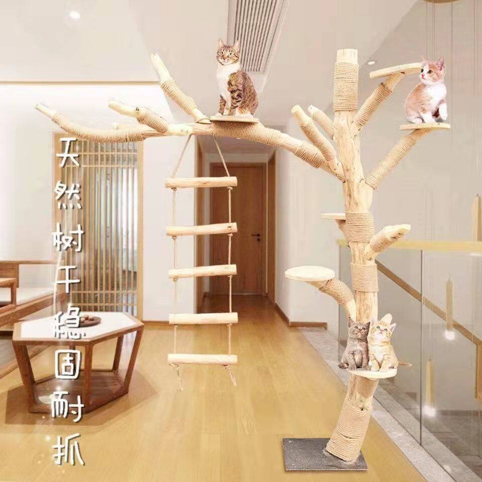 猫爬架耐磨不粘毛真网红实木猫架大型猫树树干猫爬树宠物跳台一体