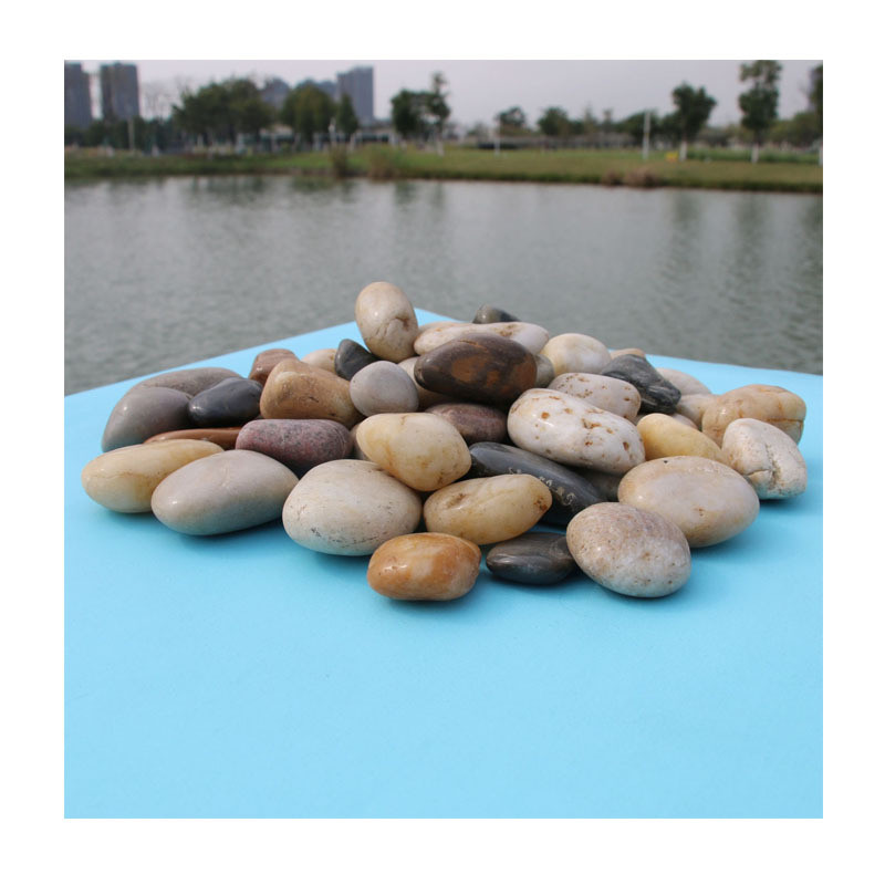 高光天然鹅卵石1-2cm椭圆形出口用黑白黄红五彩色精品雨花石