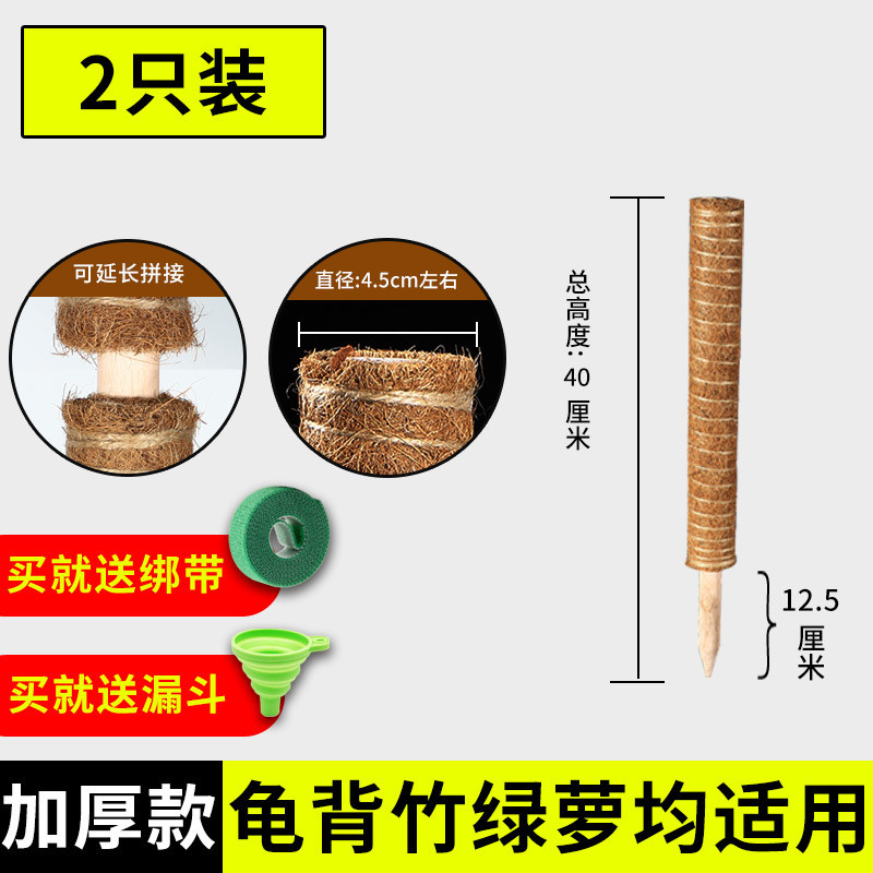 椰丝棒绿箩固定架绿萝支撑杆棕榈植物爬藤花椰棕架柱攀爬柱龟背竹