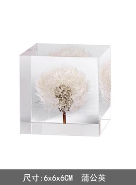 铂晶果实透明摆件客厅饰品售楼处现代轻奢样板间设计师软装书房