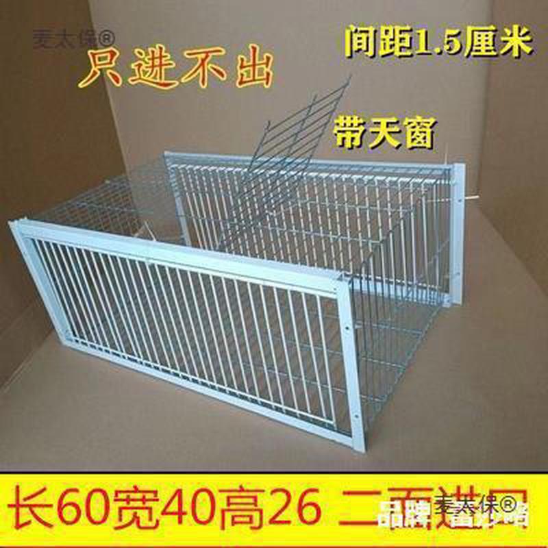 信鸽天落笼自动收鸽笼不锈钢神器鸽子捕鸽只进不出全自动加麦太保