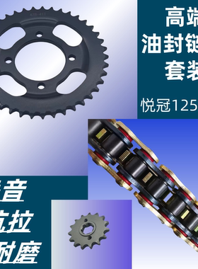 适用豪爵悦冠HJ125-2-16 HJ150-6-2ACDG喜冠链盘链轮套链油封链条