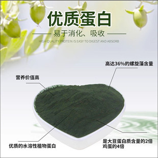 天然螺旋藻粉绿藻粉丰年虾苗孔雀鱼红箭鱼幼鱼苗饲料开口螺藻粉