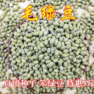 包邮 绿豆杂粮毛绿豆苏北农家自种老品种笨绿豆绿豆汤材料散装 5斤