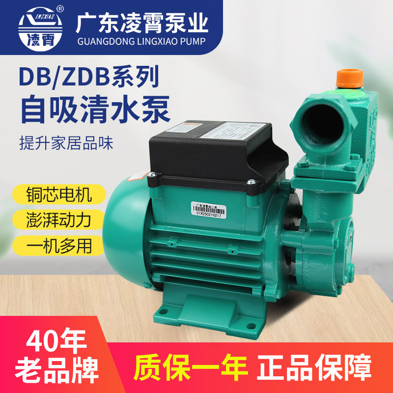凌霄水泵1DZB-35/45/65抽水机污水泵自来水井220V自吸清水增压泵