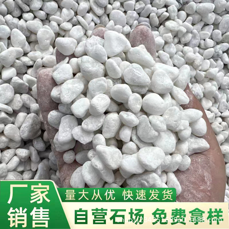 天然白色鹅卵石雪花规格花石园林铺路造景装饰水磨石胶粘石白雨全