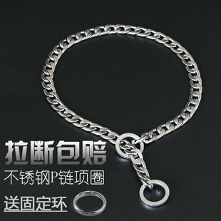 P鏈項圈遛狗狗牽引繩中大型犬304不銹鋼金毛馬犬頸脖圈蛇鏈趙周