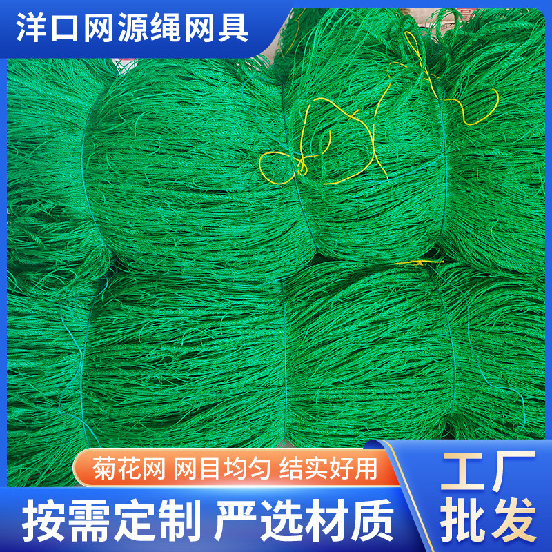 菊花种植网防倒伏网大棚种植方格网园艺植物爬藤网定植大葱菊花韭