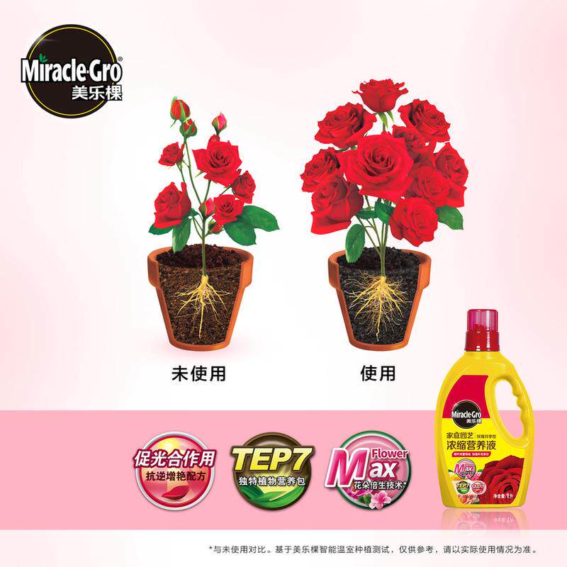 整箱批发超低价格美营养液棵乐植物通用型