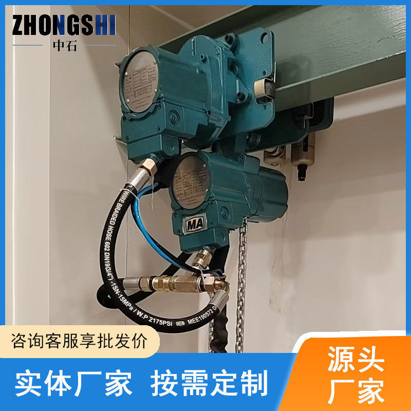 热销煤矿起重3吨气动葫芦固定式厂家设备双链条6吨提升设备电动葫