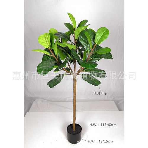 工厂直销仿真琴叶榕圆叶假树琴叶橡皮树餐厅装饰橡胶树葫芦叶来图