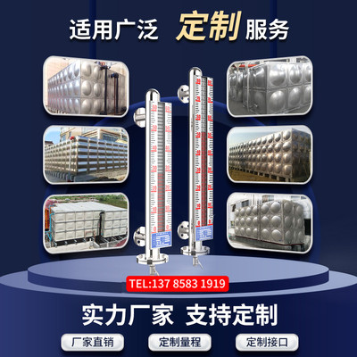 水箱液位计电子带远传液位计浮球磁耦合磁翻板液位计浮子磁性开关