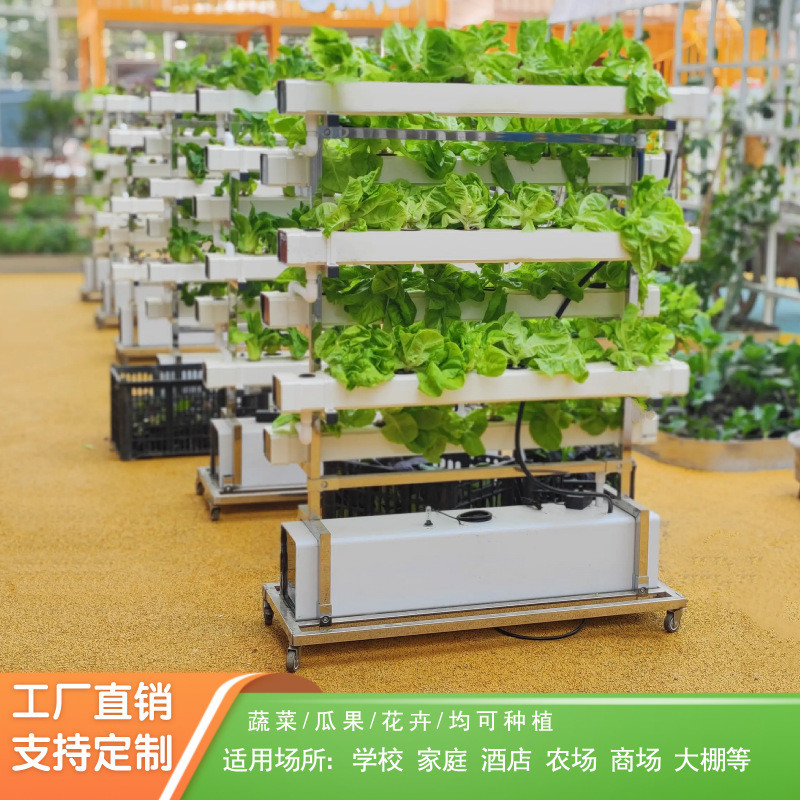 NFT无土栽培蔬菜草莓种植双面垂直架水培设备阳台水耕多层种菜机