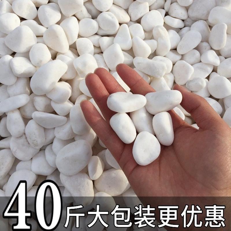 圩派白石石子白色石头鹅卵石白石庭院鹅卵颗粒天然砾石景观白石头