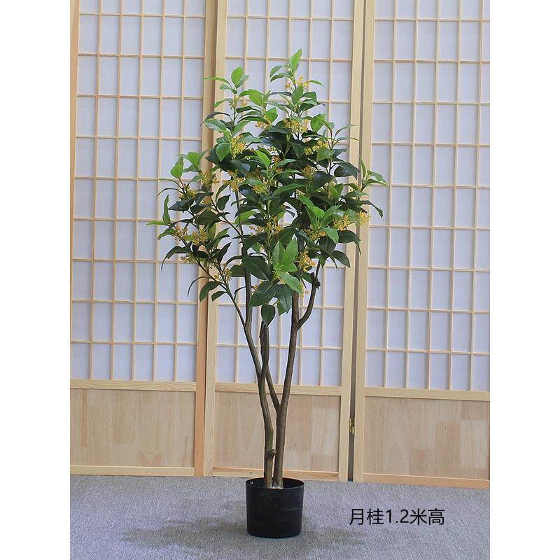 仿真绿植盆栽客厅民宿餐饮酒店铺大型落地装饰假树高端月桂桂花树