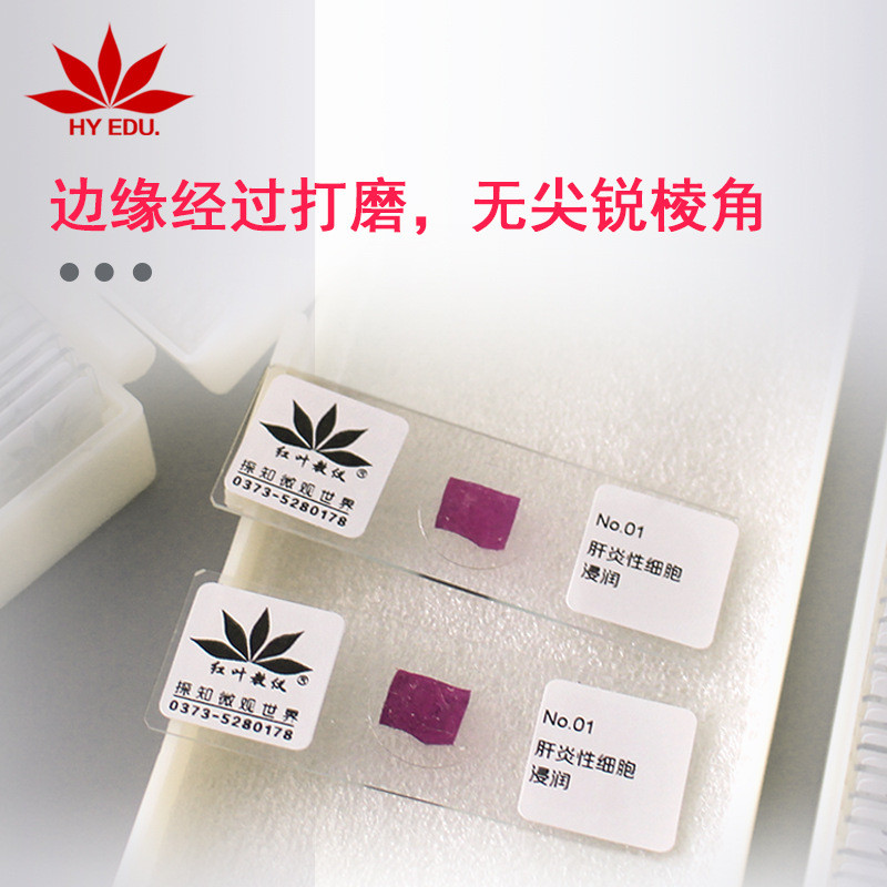病理切片清晰片染片结构50片套装病理组织切片50种病理套装