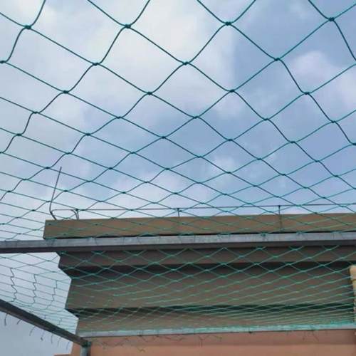 菊花种植网蔬菜瓜果种植防倒伏网格网植物爬藤网大棚种植方园艺