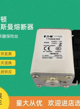 全新快速熔断器保险170M4389 170M4390 170M4391 170M4392