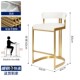 北欧吧椅吧台椅轻奢高级感家用餐厅岛台餐边椅高脚凳子靠背不锈钢