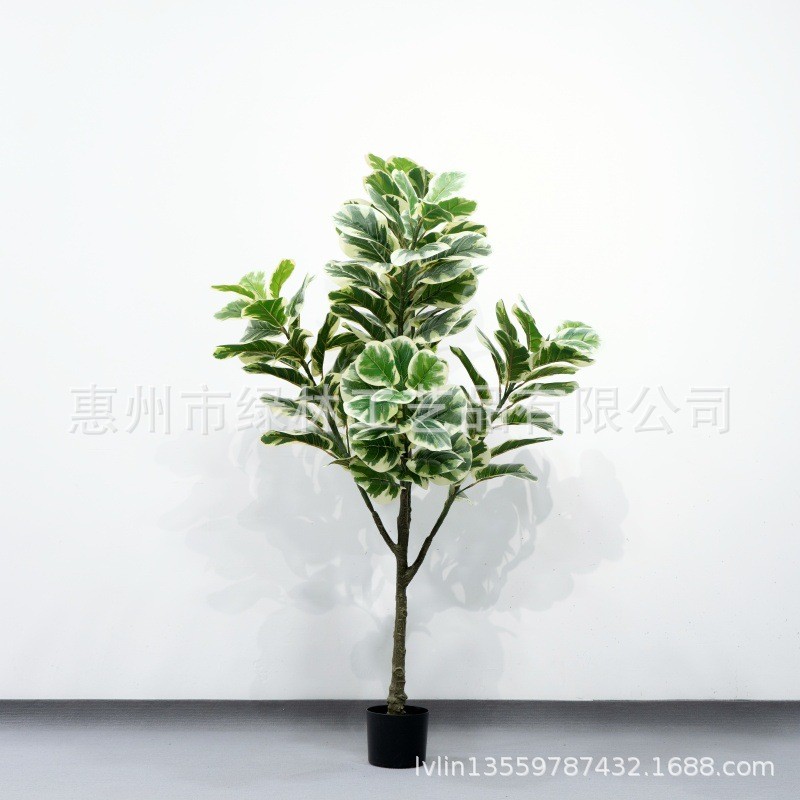 仿真白锦琴叶榕可拆装假绿植盆栽家居装饰厂家批发枝琴叶榕