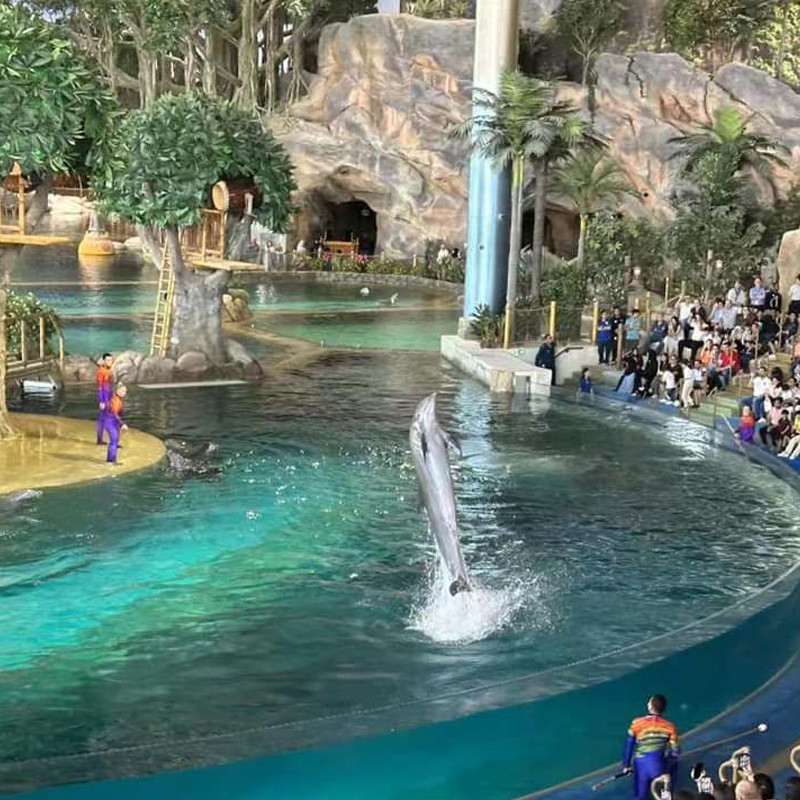 水族馆设计施工型观赏商用亚克力鱼缸水族馆淡水亚克力大型鱼缸