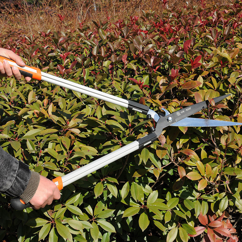 热销工厂直供两用草坪剪整篱剪篱笆剪加长手柄园林修枝剪枝