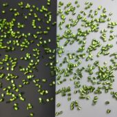 彩色六角o形金葱粉厂家现货圣诞工艺装 饰亮片美缝剂系列闪粉