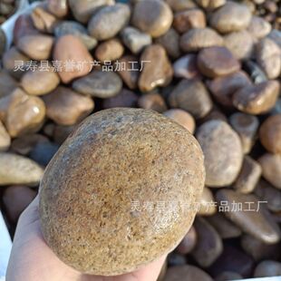 手挑鹅卵石8-12厘米鱼缸装饰庭院铺路水处理垫底河卵石花色变压器