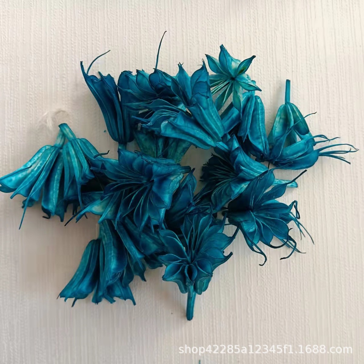 八角花果花头材天然真花diy手工花干花拍摄道具配材厂家直销批发