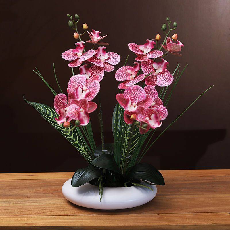 2024高档蝴蝶兰假花仿真花艺新中式客厅餐桌茶几盆景花瓶摆放装饰