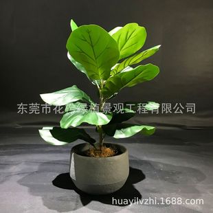 分体琴叶榕可拆装仿真植物盆栽家居客厅办公室绿植摆件批发厂家