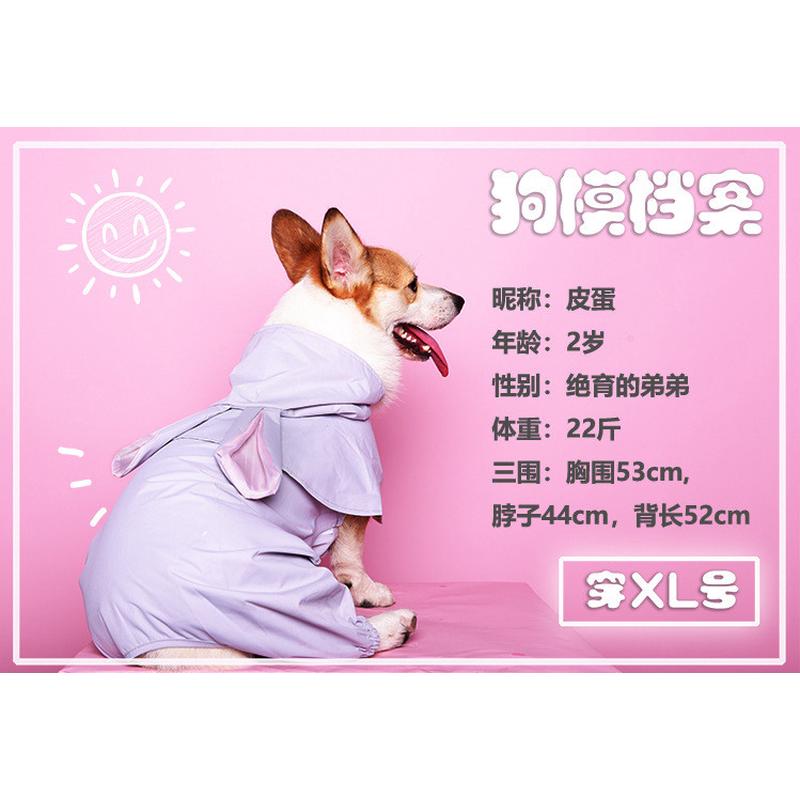 狗狗雨衣中型犬大中物耶哈四脚风雪纳瑞雨披腊肠拉布拉多衣服